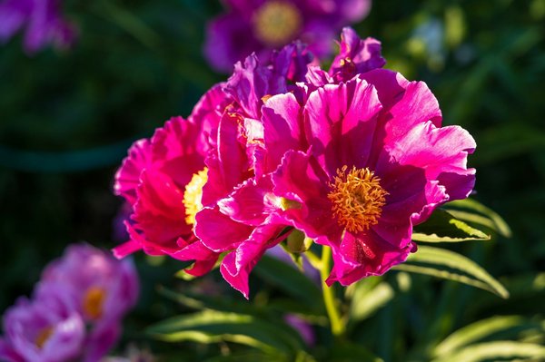 Discover the Hottest Eco-Friendly Fabrics Chic UK Designers are Embracing Today!